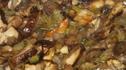 суп-пюре из лесных грибов