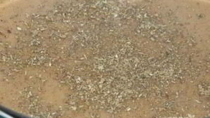 суп-пюре из лесных грибов