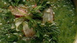 Зеленый суп-пюре