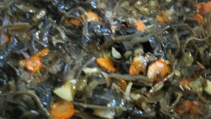 суп с кальмарами и морской капустой