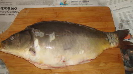 уха из карпа