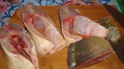 уха из карпа