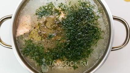 уха из красной рыбы