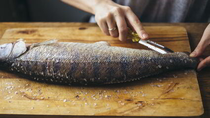 уха из судака