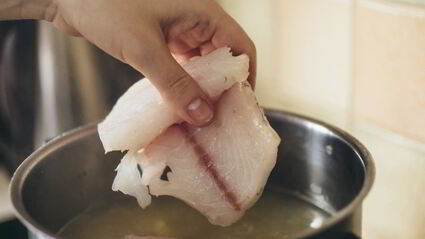 уха из судака