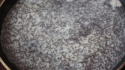 маковые блинчики