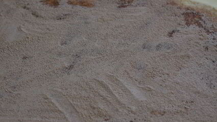 булочки с корицей в сметанной заливке