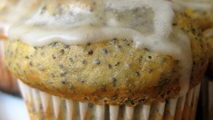 лимонно-маковые кексы