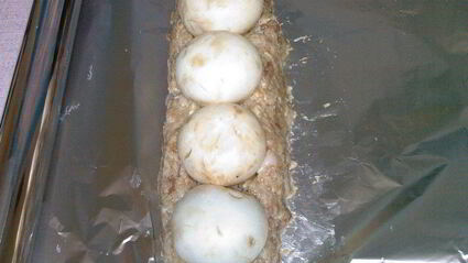 батон мясной