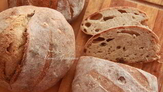 Хлеб с фенхелем на виноградной закваске