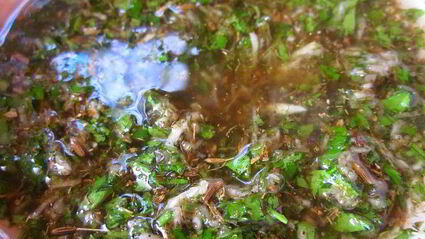 обезьяний хлеб