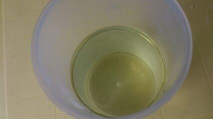 ржаные многозерновые хлебцы