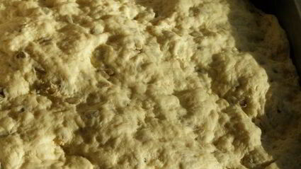 творожный хлеб с семенами подсолнечника