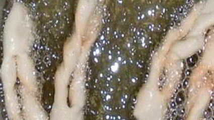 хворост традиционный