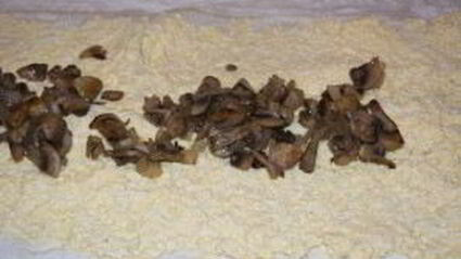 лаваш с шампиньонами