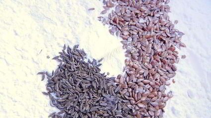 индийские лепешки наан