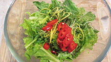 оладушки из щучьей икры