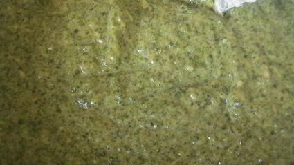 силка — оладьи из свекольной ботвы