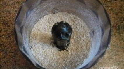 постное морковно-овсяное печенье