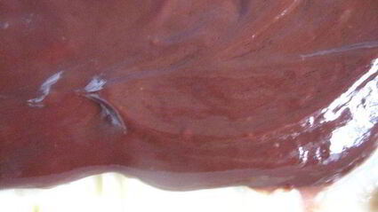 пирожное без выпечки