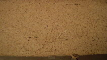 пирожное осенняя симфония