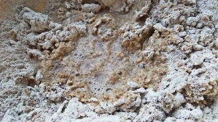 ржаное пирожное постное