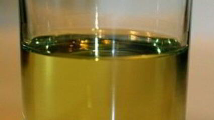 коврижка шоколадная постная