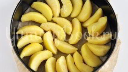 шарлотка перевертыш