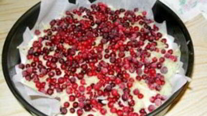 шарлотка с брусникой и яблоками