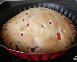 Шарлотка с клюквой