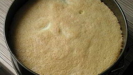 идеальный бисквит