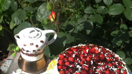 маково-клубничный торт