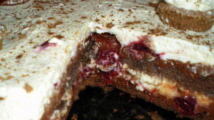 рулетоторт с шоколадным муссом