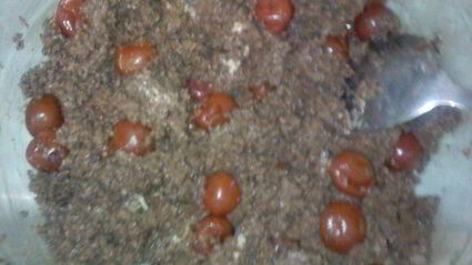 торт пьяная вишня в шоколаде