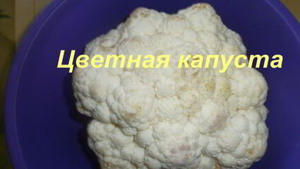 ассорти на зиму