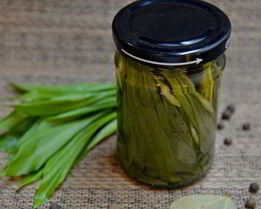 Черемша на зиму