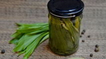 черемша на зиму