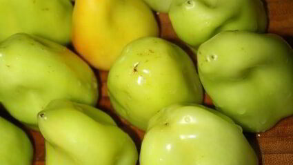 фаршированные болгарские перцы на зиму