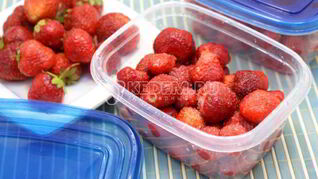 Клубника Виктория на зиму