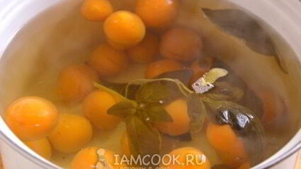 абрикосовый компот с базиликом и лимоном