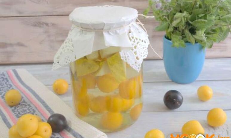 Рецепт компот из алычи