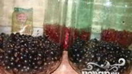 компот из черной смородины