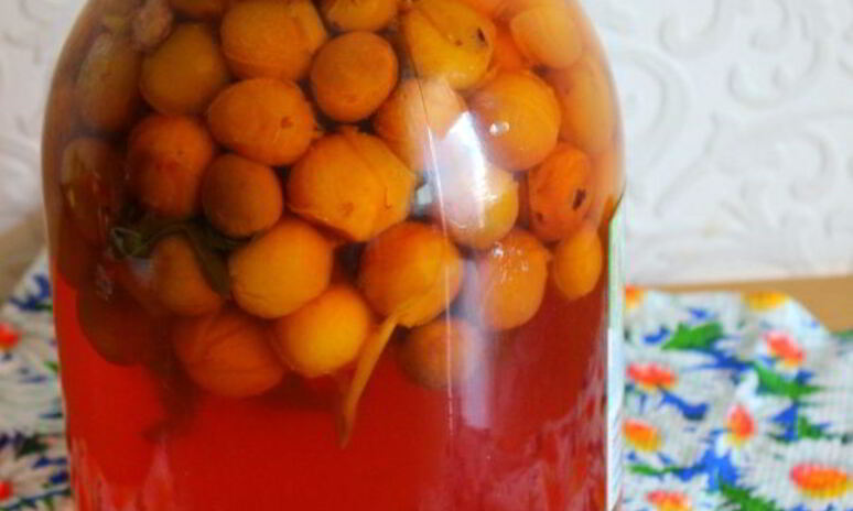 Рецепт компот из мелкой сливы с мятой