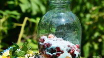 компот из вишни и малины