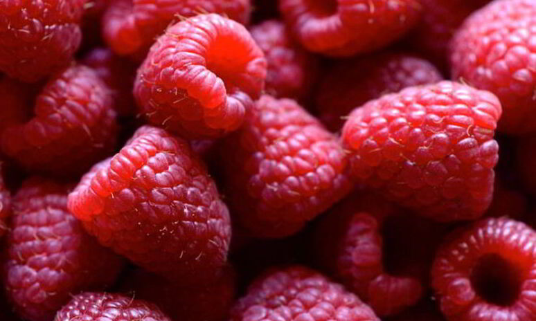 Рецепт малиновый компот