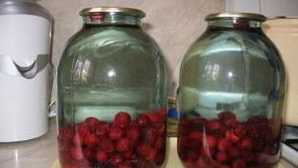 вишневый компот на зиму