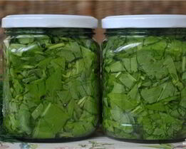 Консервированный щавель на зиму