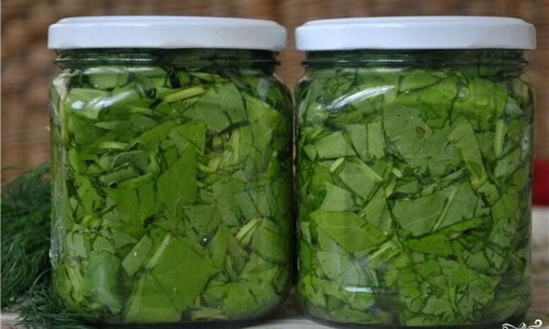 Рецепт консервированный щавель на зиму