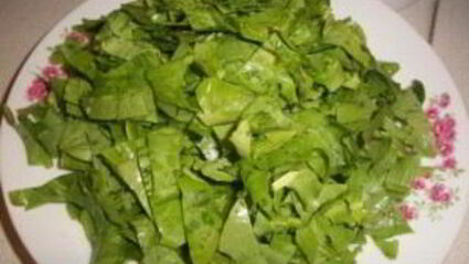 консервированный щавель на зиму