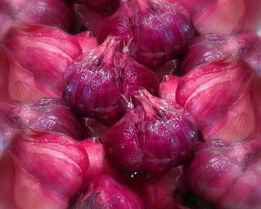 Квашеный чеснок